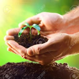 فاطمه رخشانی